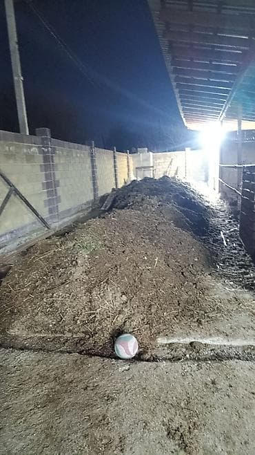 перегной навоз: Навоз/перегной для огорода и сада жылкыны - Натуральный органический — 1