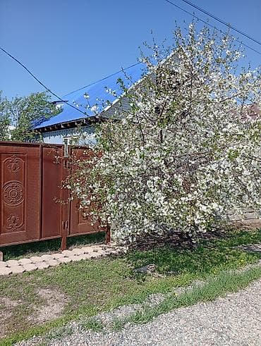 сдается земельный дом: КВ БЕРИЛЕТ, БИР КОМНАТА, ОБЩИЙ КОРИДОР, СУУ, ЛЕТНИЙ — 3