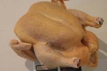 инкубатор мини: Продаю мясо бройлеров. Свежие, домашний откорм, вес от 3 кг. Цена 320 — 1