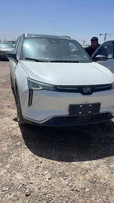 howo shacman: Weltmeister W6, 2022 г., 110000 км — 4