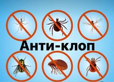 уничтожение клоп блох: Дезинфекция, дезинсекция, | Тараканы, Вирусы, микробы, Клопы, | Офисы, Транспорт, Квартиры — 1