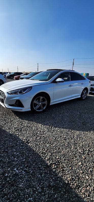задний стопы: Hyundai Sonata: 2018 г., 2 л, Автомат, Газ, Седан — 1
