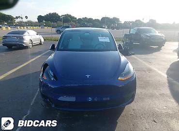 echo platz: Tesla Model Y: 2024 г., Автомат, Электромобиль, Кроссовер — 10