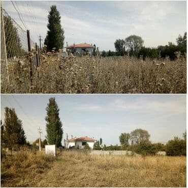 садовник требуется: Уборка территории, Уход за деревьями — 6