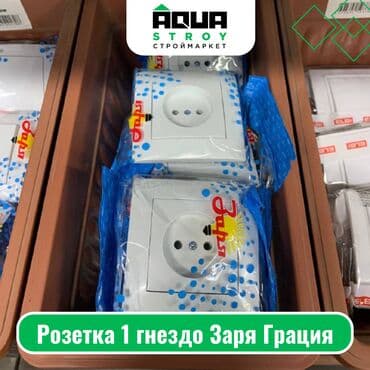 набор головка: Розетка 1 гнездо Заря Грация Для строймаркета "Aqua Stroy" качество — 1