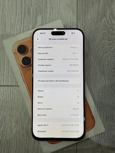 apple 17: IPhone 17 Pro Max, 256 ГБ, 100 % — 4