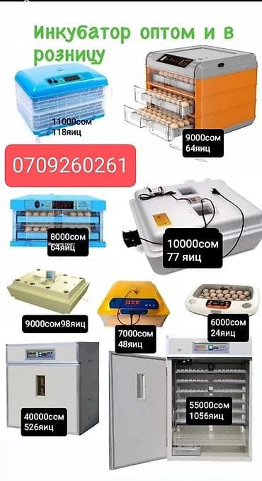 продаю кролов: Инкубаторы китайский сатылат жаңы полный автомат свет очсо 12 вольт — 7