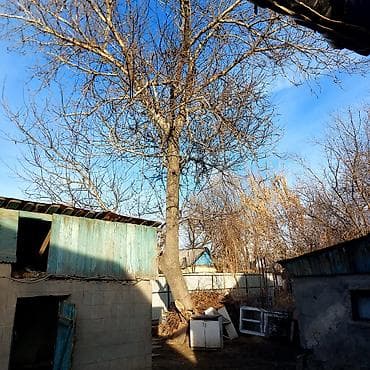 кухонный стол дерево: Жаңгак сатылат адрес Шопоков материалдга — 3