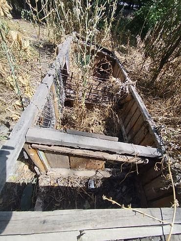 кошка отдам даром: Крольчатник но правда его нужно подделать отдам за 2000 тыщи два штуке — 2