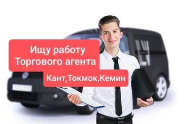 Торговый агент, Более 5 лет опыта, С личным транспортом, Мужчина