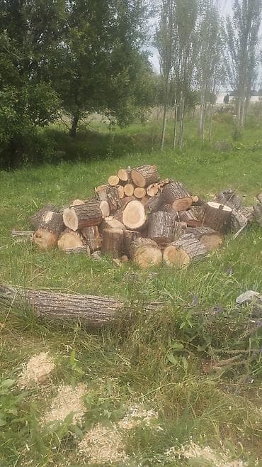 мешок дрова: Дрова — 1