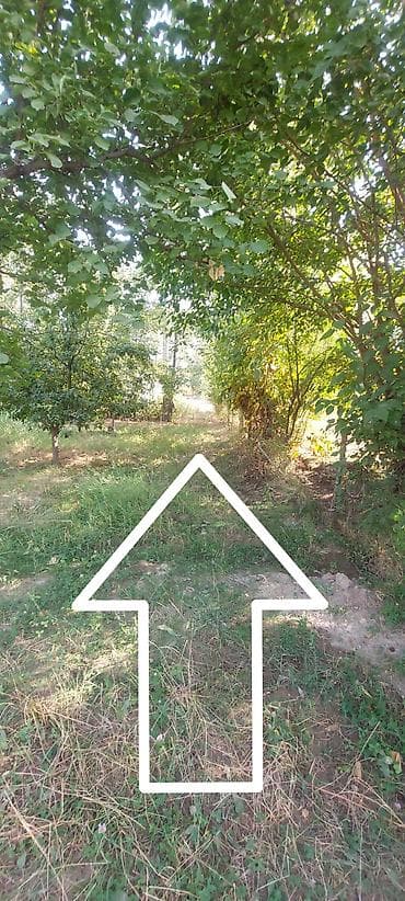 Продажа участков: 10 соток, Для строительства, Красная книга — 8