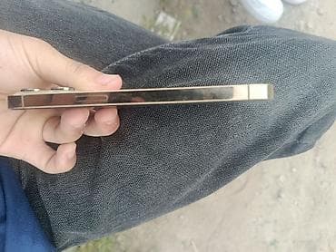 IPhone 13 Pro, Алтын — 2