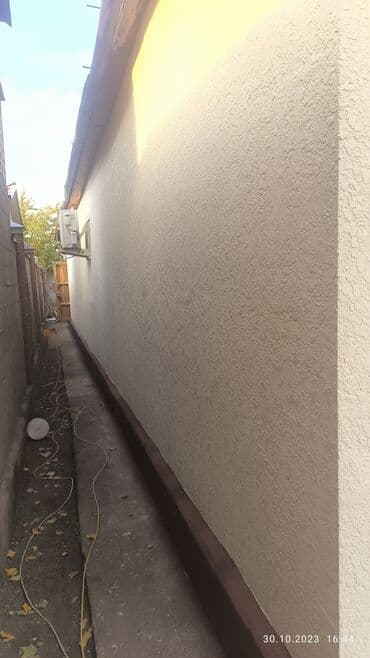 Шаймандарды ижарага алуу: Декоративдик шыбоо | Текстуралык 3-5 жылдык тажрыйба — 4