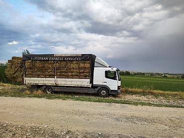 rex sprinter: Грузовик, Mercedes-Benz, Стандарт, 5 т — 5