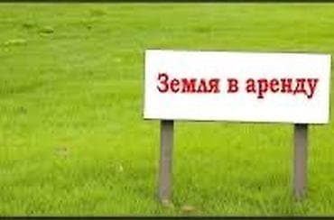 Айыл чарба үчүн