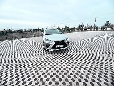 луксус 570: Lexus NX: 2019 г., 2 л, Автомат, Бензин, Кроссовер — 3