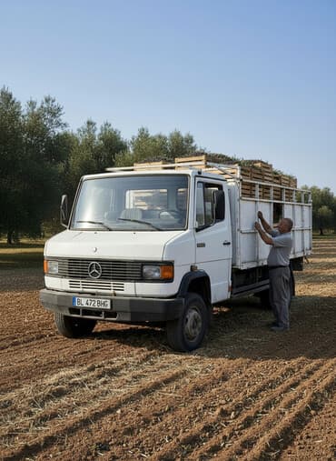 машина кузов: Грузовик, Mercedes-Benz, Стандарт — 1