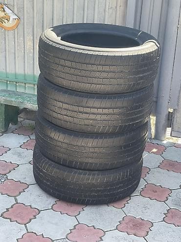 r20 285 50: Шины 245 / 55 / R 19, Всесезонная, Комплект, Внедорожные (АТ/МТ), Франция, Michelin — 4