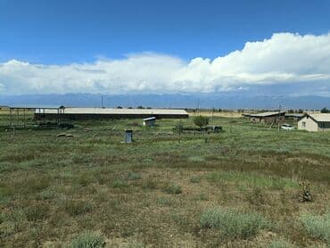 дом в районе кызыл аскер: Продаю Кошара, 600 соток, Действующий, С оборудованием, Электричество, Скважина — 8