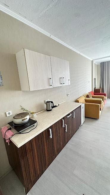 palm beach квартиры: 1 комната, 45 м², Индивидуалка, 3 этаж, Дизайнерский ремонт — 4