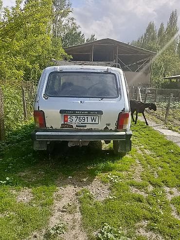 Транспорт: ВАЗ (ЛАДА) 4x4 Нива: 1997 г., 1.7 л, Механика, Бензин, Внедорожник — 2