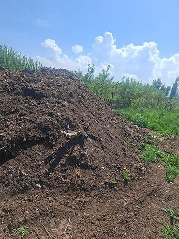 мицелий грибов: В тоннах, Бесплатная доставка, Портер — 3