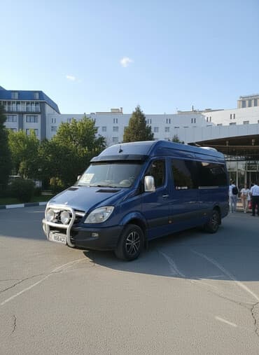 cobra выхлопные системы для мотоциклов: Mercedes-Benz Спринтер: 2007 г., 2.2 л, Механика, Дизель, Бус — 1