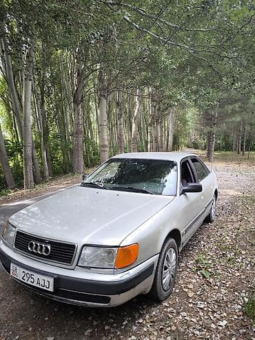 Audi 100: 1993 г., 2 л, Механика, Газ, Седан — 1