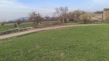 куплю сельхоз землю: 3500 соток, Для сельского хозяйства — 2