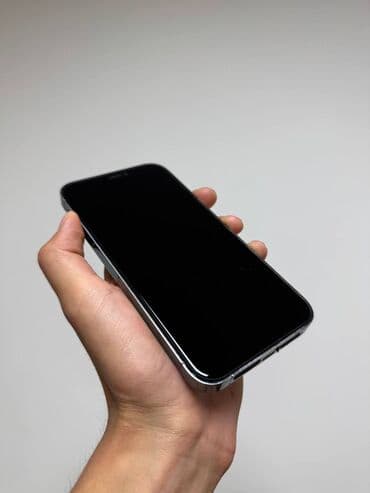 айфон х: IPhone Xr, Колдонулган, 64 ГБ, Alpine Green, Каптама, 100 % — 2
