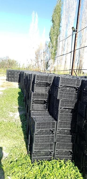 пробки для бутылок: Ящик, Новый — 3