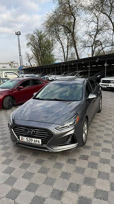 графика: Hyundai Sonata: 2017 г., 2.4 л, Автомат, Бензин, Седан — 1