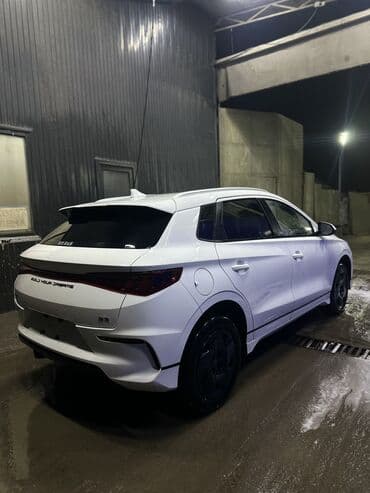 BYD: BYD : 2024 г., Электромобиль, Кроссовер — 8