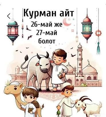 карова на забой: Продаю | Баран (самец) — 5