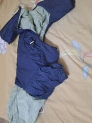 все породы собак с фотографиями: Состояние; новое доставка платная. Зоотовары Переноска для животных — 27