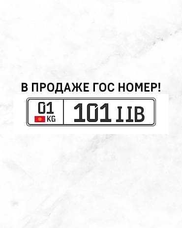 Госномер на автомобиль: 01 KG 101 IIB - Формат: стандартный номерной