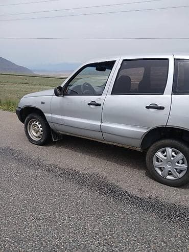 mers 211: Chevrolet Niva: 2004 г., 1.7 л, Механика, Бензин, Внедорожник — 4