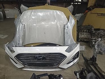 самурай купить: Соната нурайс целый морда 2018-19 — 2