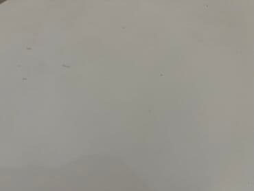 столь кухонный: Набор: белый кухонный стол на центральной опоре + 4 белых стула — 4