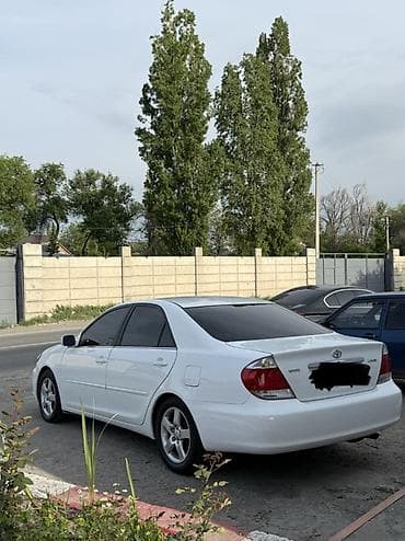 camry 2007: Toyota Camry: 2006 г., 2.4 л, Автомат, Бензин, Седан — 2