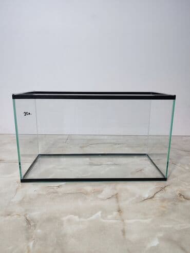 аквариумная рыбка: Прямоугольные — 3