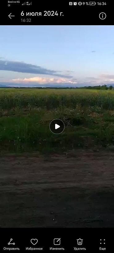 Чеснок Оптом, Самовывоз