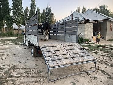 Продажа авто: Ford Transit: 1993 г., 2.5 л, Механика, Дизель, Бус — 6