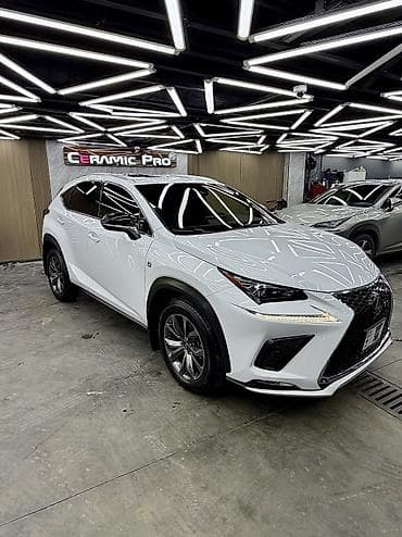 Транспорт: Lexus NX: 2021 г., 2 л, Автомат, Бензин — 5