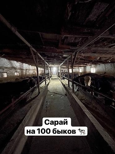 гараж темир: Ферма КРС, 1000 соток, Действующий, С оборудованием, Электричество, Отопление, Скважина — 5