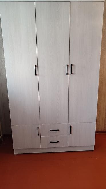 Шифоньер, шкаф для одежды, Новый, Прямой