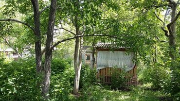 продаю дом в кок жаре: Дом, 130 м², 5 комнат, Собственник — 13