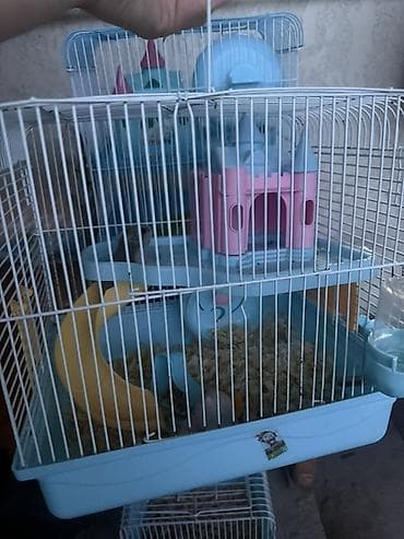 Клетка для хомяка с игровым комплексом С хомячком - Двухуровневая — 2