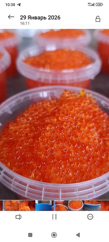 Бал: Продаю. Икру Форели слабосолёная, мягкая, свежая. Икра Фасовка по — 2